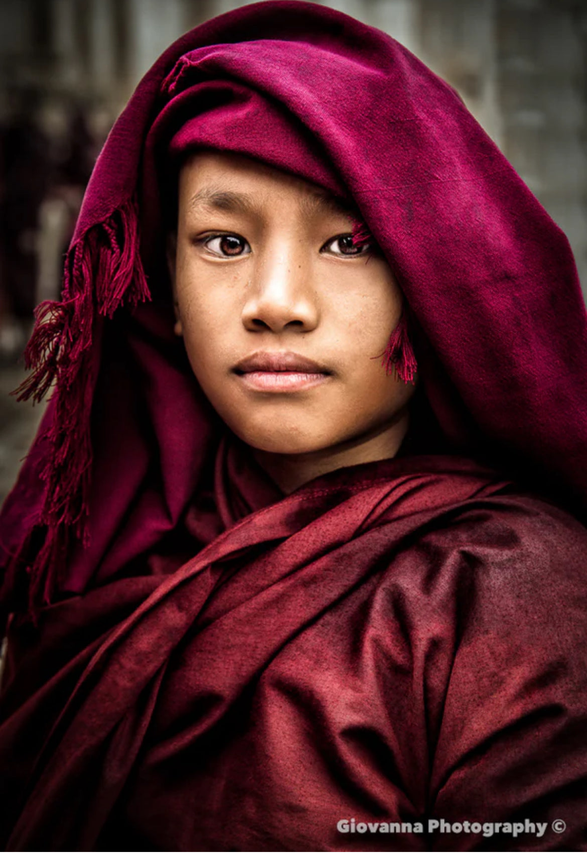 Ananda- novice monk- Shelfie