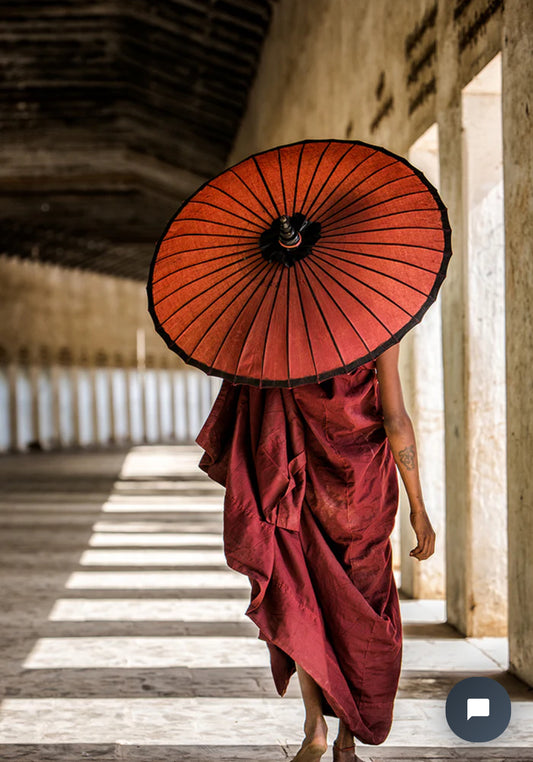 Shadows and light- Shelfie