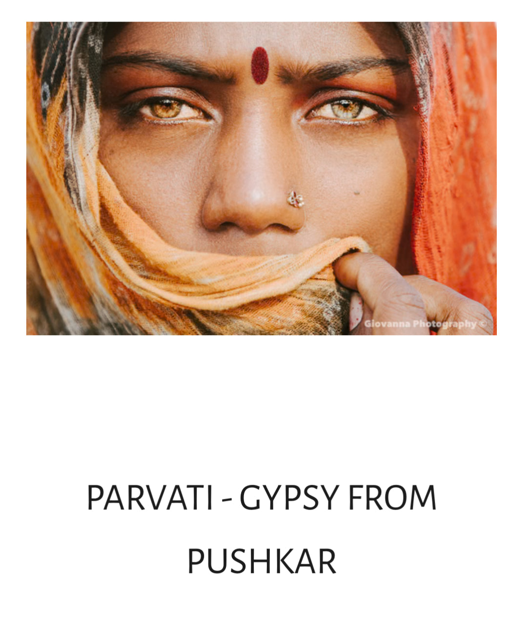 Parvati- gypsy from Pushkar-Shelfie